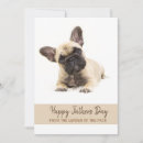 Search for bulldog fathers day cards Puppy