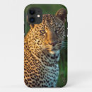 Search for panthera iphone cases Kenya