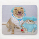 Search for veterinarians mouse mats Kitty