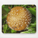 Search for mushroom mouse mats Fungus