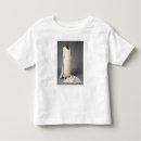 Search for princess toddler tshirts English