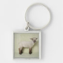 Search for wallpaper key rings Nature