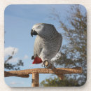 Search for african coasters Blue sky