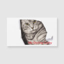 Search for kitten valentines day cards Pet