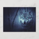 Search for predators postcards Wolf
