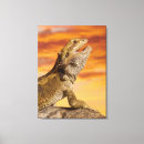 Search for bearded dragon art Scales