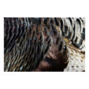 Search for wild designs posters Nature