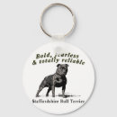 Search for sbt Terrier