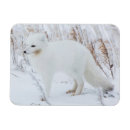 Search for lagopus cards Canada