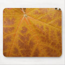 Search for maple leaf mouse mats Photography
