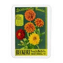 Search for flower seed packets Plants