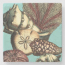 Search for shell coasters Star fish