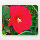 Search for red hibiscus mouse mats Flowers