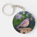 Search for bluebird key rings Songbird