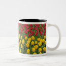 Search for keukenhof mugs Blossom