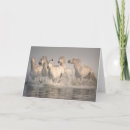 Search for mer cards Horse