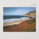 Search for red beach postcards Nature