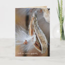 Search for pod postcards Fall