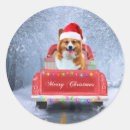 Search for corgi christmas stickers Snow