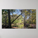 Search for running posters Hiking