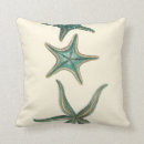 Search for starfish cushions Sea life