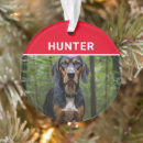 Search for coonhound christmas tree decorations Dogs