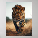 Search for habitats posters Nature