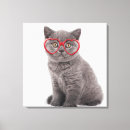 Search for animals canvas prints Kitten