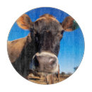 Search for cattle chopping boards Animal