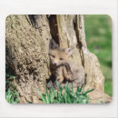 Search for kits mouse mats Wildlife