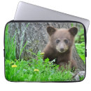 Search for brown bear electronics Animals in the wild