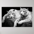 Search for extinction art Predator