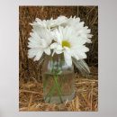 Search for hay posters Flower