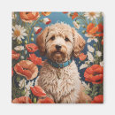 Search for labradoodles magnets Animal