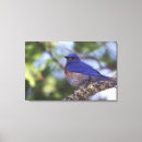 Search for backyard canvas prints Usa