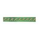 Search for tortoise labels Animals