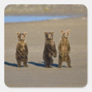Search for ralph stickers Habitat
