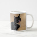 Search for licking mugs Kitty