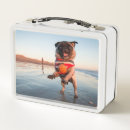 Search for pug lunch boxes Dog