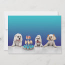 Search for rescue dogs invitations Adoption
