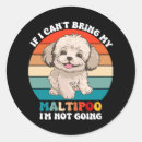 Search for maltipoo crafts party Animal