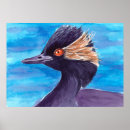 Search for grebe Nature
