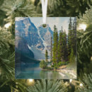 Search for water christmas tree decorations Landscape