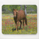 Search for quarter mouse mats Farm