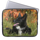 Search for bob electronics Dog