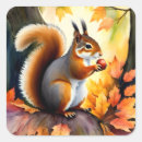 Search for squirrel with nut stickers Squirrels
