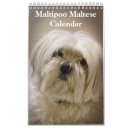 Search for maltipoo gifts Maltese
