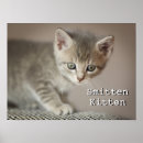 Search for tiny posters Pet