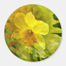 Search for origami magnets Floral
