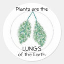 Search for carbon stickers Trees